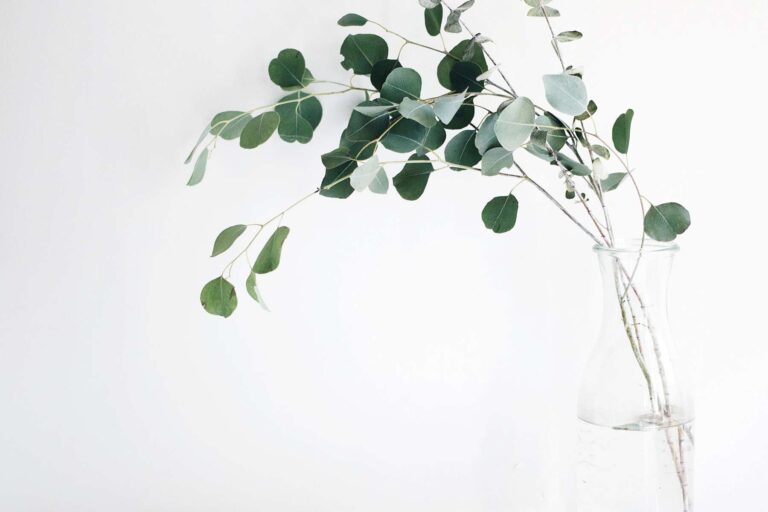 Reputation Salon an AVEDA Salon